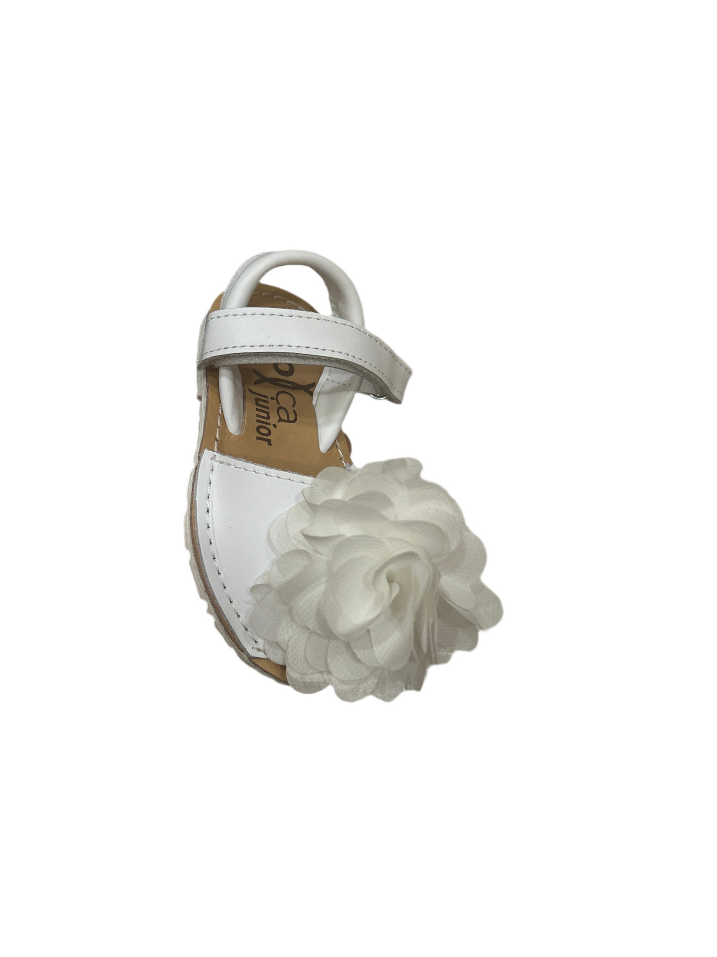 Minorchine Evoca (28al35)