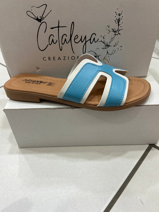 Cataleya