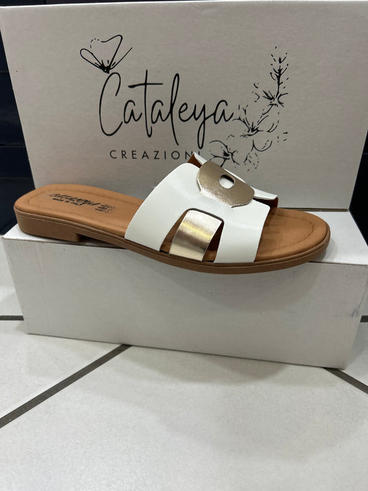 Cataleya