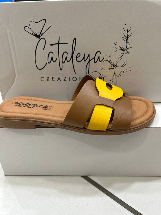 Cataleya