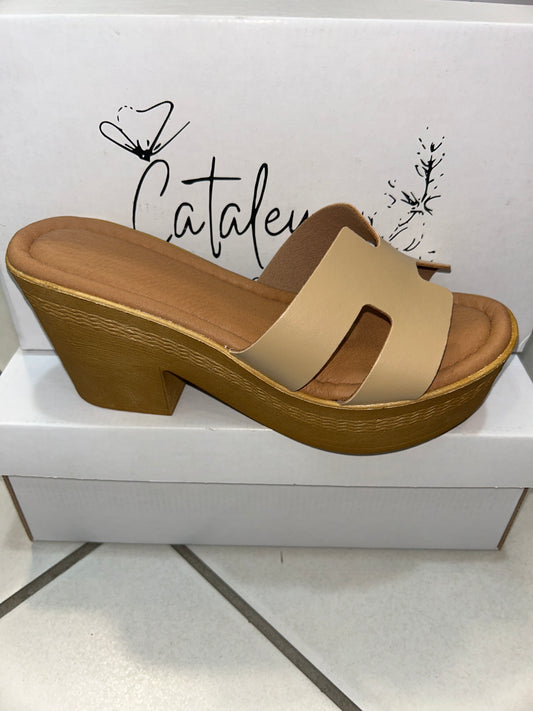 Cataleya