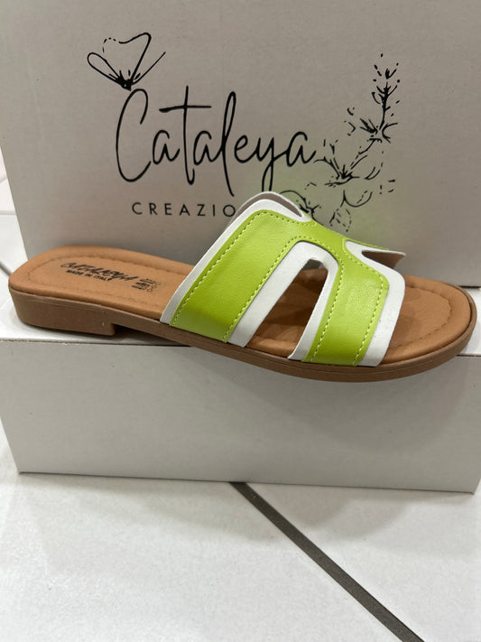 Cataleya