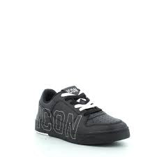 ICON (Art.03930)