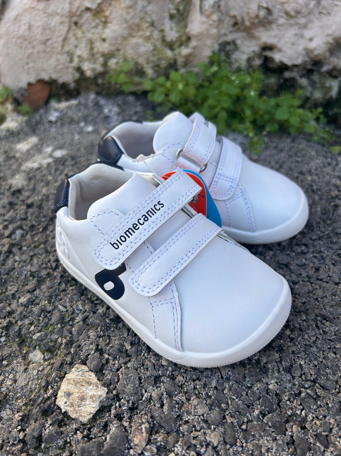 Scarpe Bimbo Biomecanics (A578)